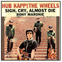 hubb kapp and the wheels cover