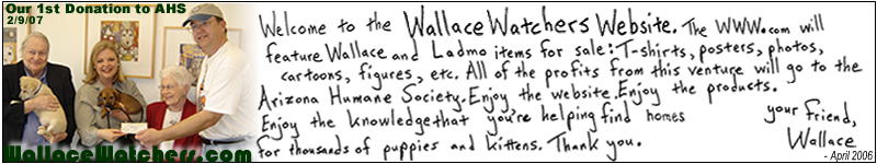 Wallace Store Intro